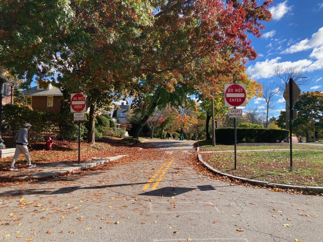 Cedar St view east." Do Not Enter" sign now includes "EXCEPT BIKES."